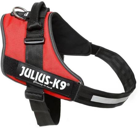 Julius-K9 IDC piros powerhám kutyáknak