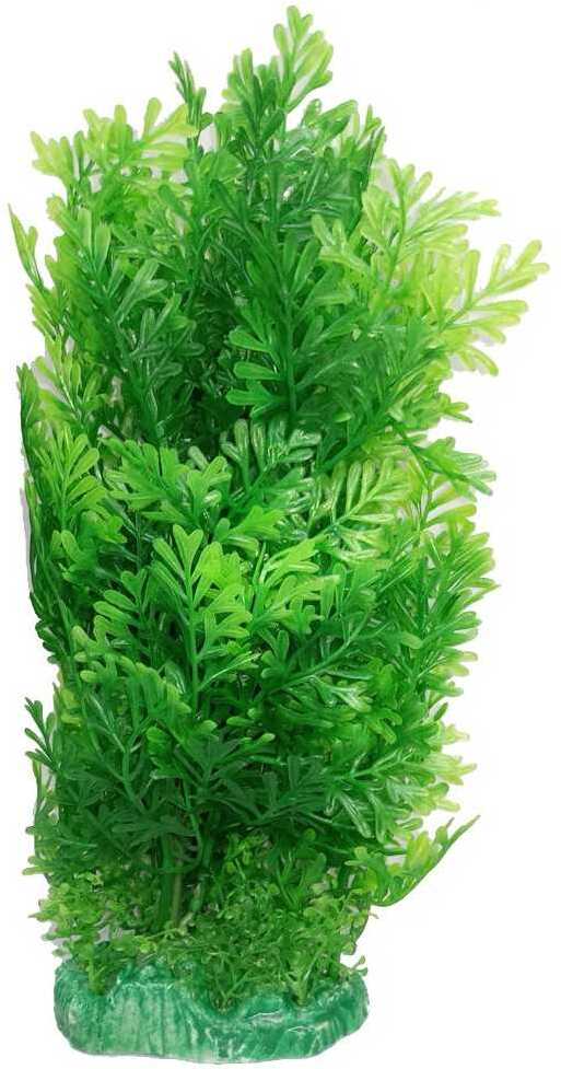 Plantă de acvariu înaltă, verde, cu frunze ramificate