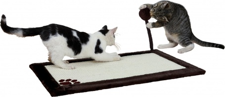 Trixie plüss szélű kaparószőnyeg rúdra rögzített szőrmelabdával