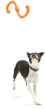 West Paw Bumi - S alakú huza-vona játék