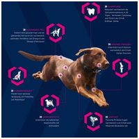 Eukanuba Adult Working & Endurance #3