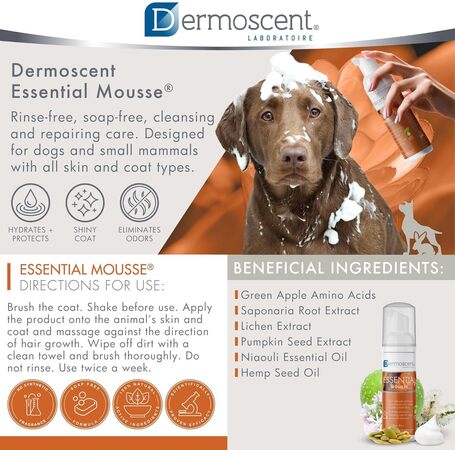 Dermoscent Essential Mousse kutyáknak és macskáknak