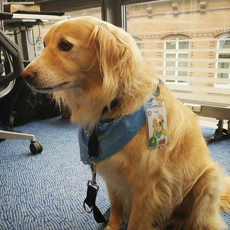 BiogenicPET Immunity