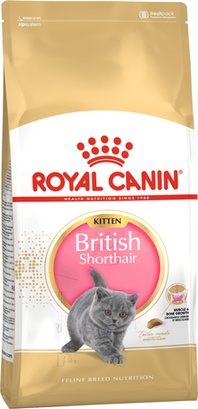 Royal Canin British Shorthair Kitten - Brit rövidszőrű kölyök macska száraz táp