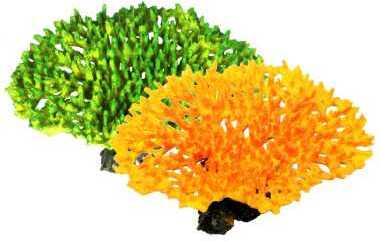 Lapos szirtkorall akvárium dekoráció