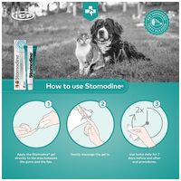 Stomodine antibakteriális szájfertőtlenítő, fogápoló gél #4