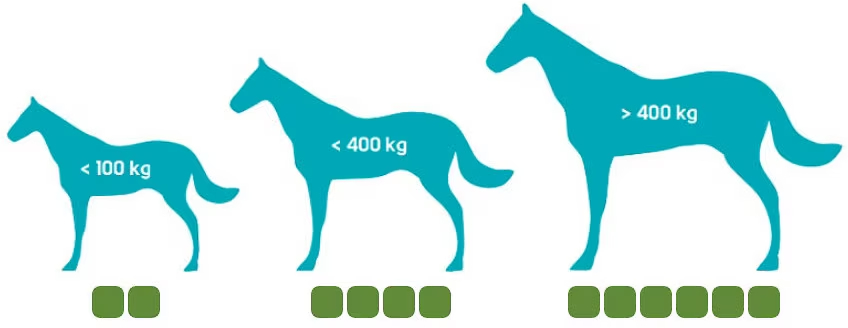 Geloren Horse gelatină protecția articulațiilor cailor - zoom