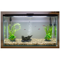 Hajoroncs akvarium dekoracio #2