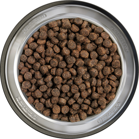 Belcando Finest Grain-Free Salmon