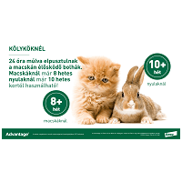 Advantage 80 spot on macskáknak és nyulaknak #5