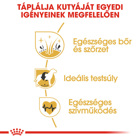 Royal Canin Cocker Adult - Cocker Spániel felnőtt kutya száraz táp