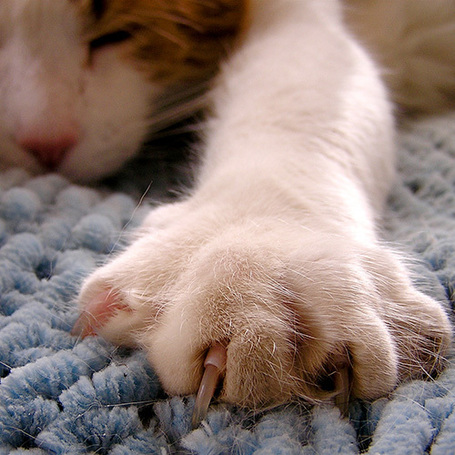 Question #96