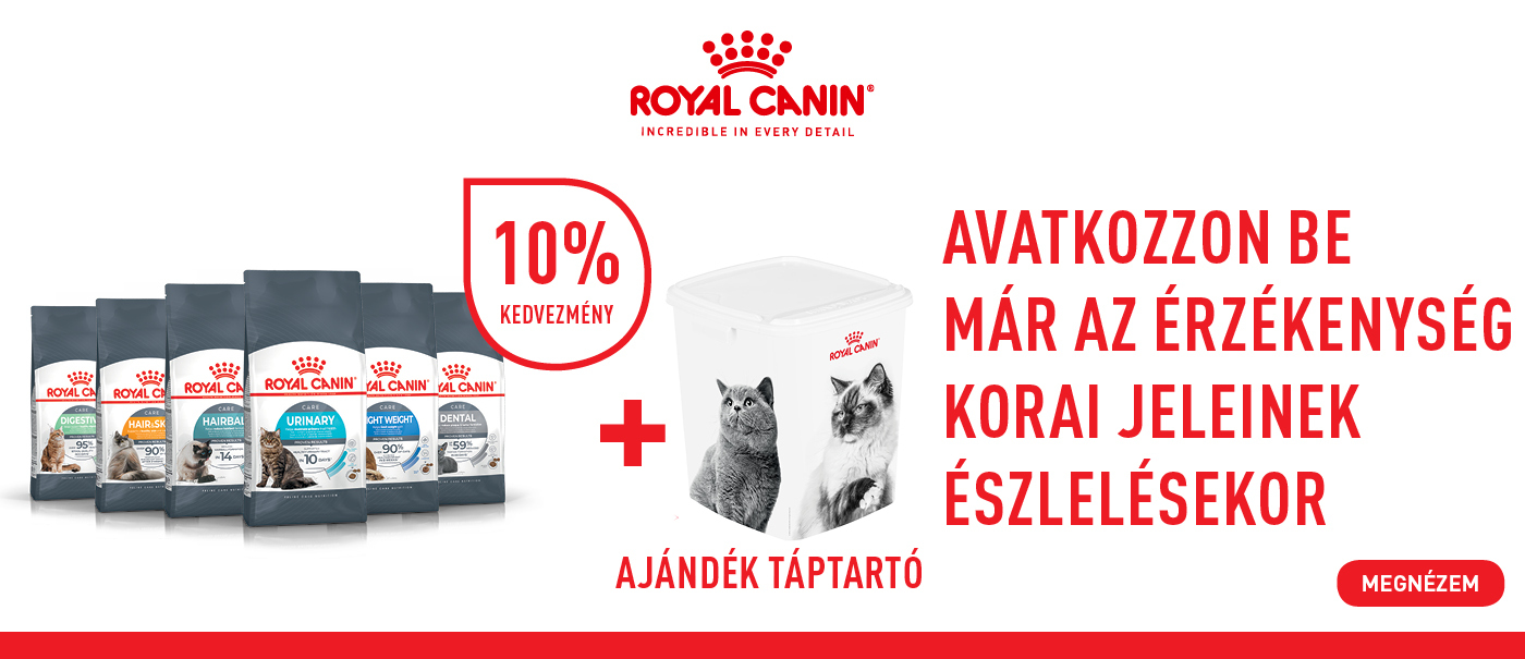 RC macska vödör
