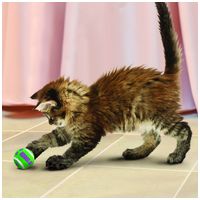 Kong Cat Active Tennis Balls csengős macskajáték (3 db-os szett) #2