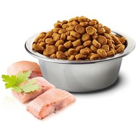 N&D Cat Ocean Adult Hering & Orange | Halas és narancsos macskaeledel #2