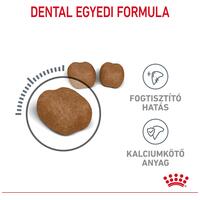 Royal Canin Dental Care - Száraz táp felnőtt macskák részére a fogkőképződés csökkentéséért #3