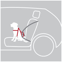 Trixie Dog Comfort autós hám és biztonsági mellény kutyáknak #4