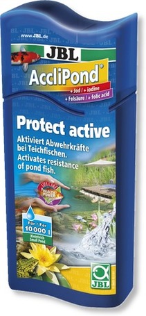 Táplálékkiegészítők, vitaminok kerti tavi halaknak