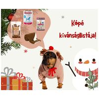 Kópé, 2 éves ivartalanított kan #6