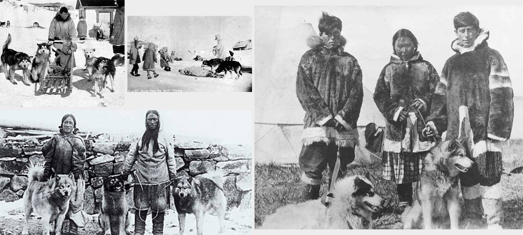 Inuit indiánok és alaszkai malamut kutya