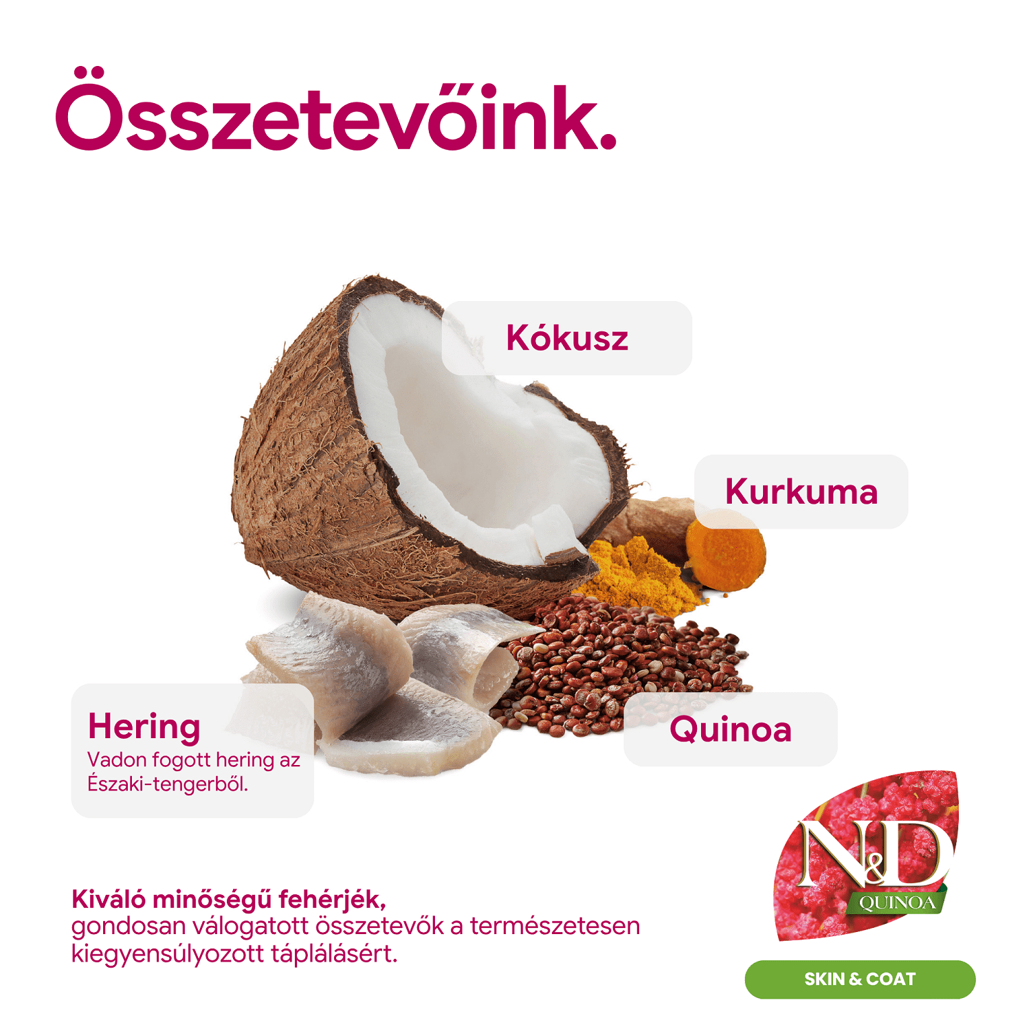 N&D Dog Grain Free Quinoa Skin & Coat Herring – Bőr- és szőrproblémákra | Szuperprémium kutyaeledel