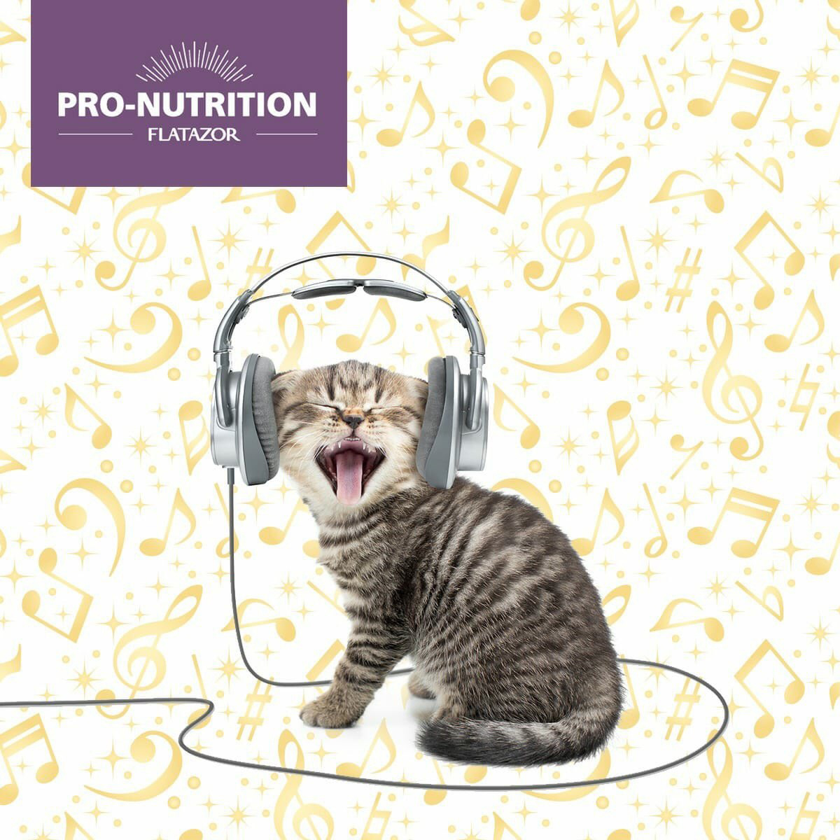 Pro-Nutrition Prestige Kitten with Fish - zoom