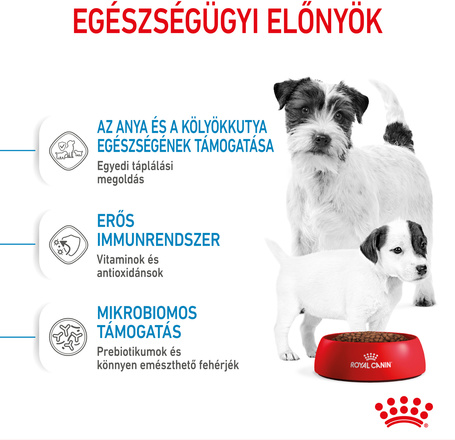 Royal Canin Mini Starter - Száraz táp kistestű vemhes szuka és kölyök kutya részére 2 hónapos korig