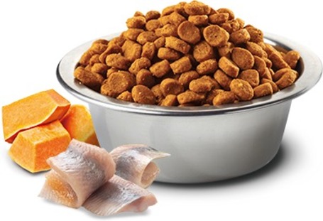 N&D Cat Ocean heringgel, sütőtökkel és naranccsal | Gabonamentes macskatáp