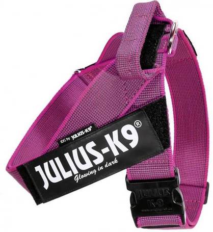 Julius-K9 IDC Color & Gray hevederhám