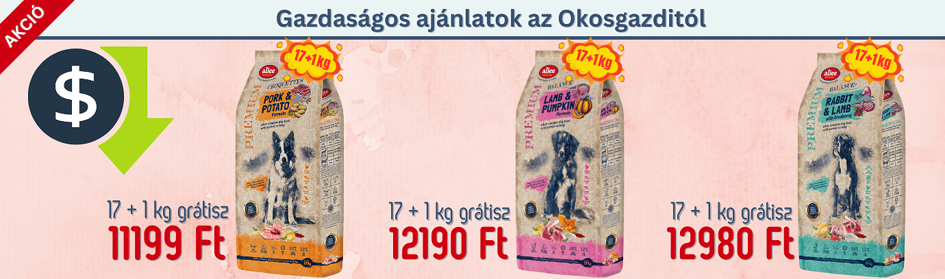 Alice kutyatáp akció