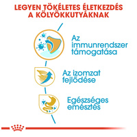 Royal Canin Boxer Junior - Boxer kölyök kutya száraz táp #4