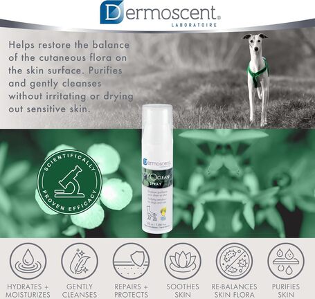 Dermoscent PYOclean Spray kutyáknak és macskáknak