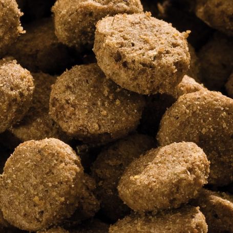 Happy Dog NaturCroq Senior