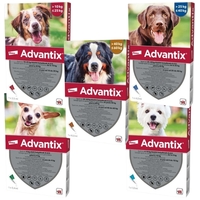 Advantix Spot On kutyáknak