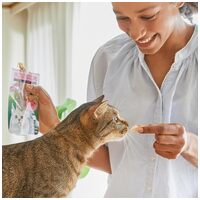 Inaba Cat grillezett csirkefilé garnélás lében #6