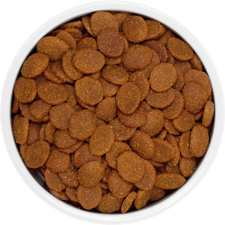 Eminent Adult Large Breed | Táp nagytestű felnőtt kutyáknak