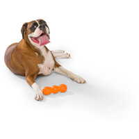 West Paw Rumpus rágóbot #8