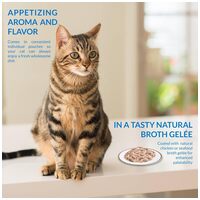 Inaba Cat Twin Packs Tuna & Chicken Recipe #2