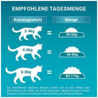 Purina One Bifensis Sterilcat Adult Beef #3