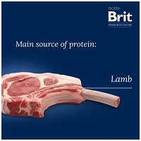 Brit Premium by Nature Cat Sensitive Lamb #2
