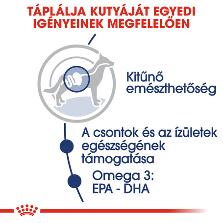 Royal Canin Maxi Adult - Nedves táp nagytestű felnőtt kutya részére