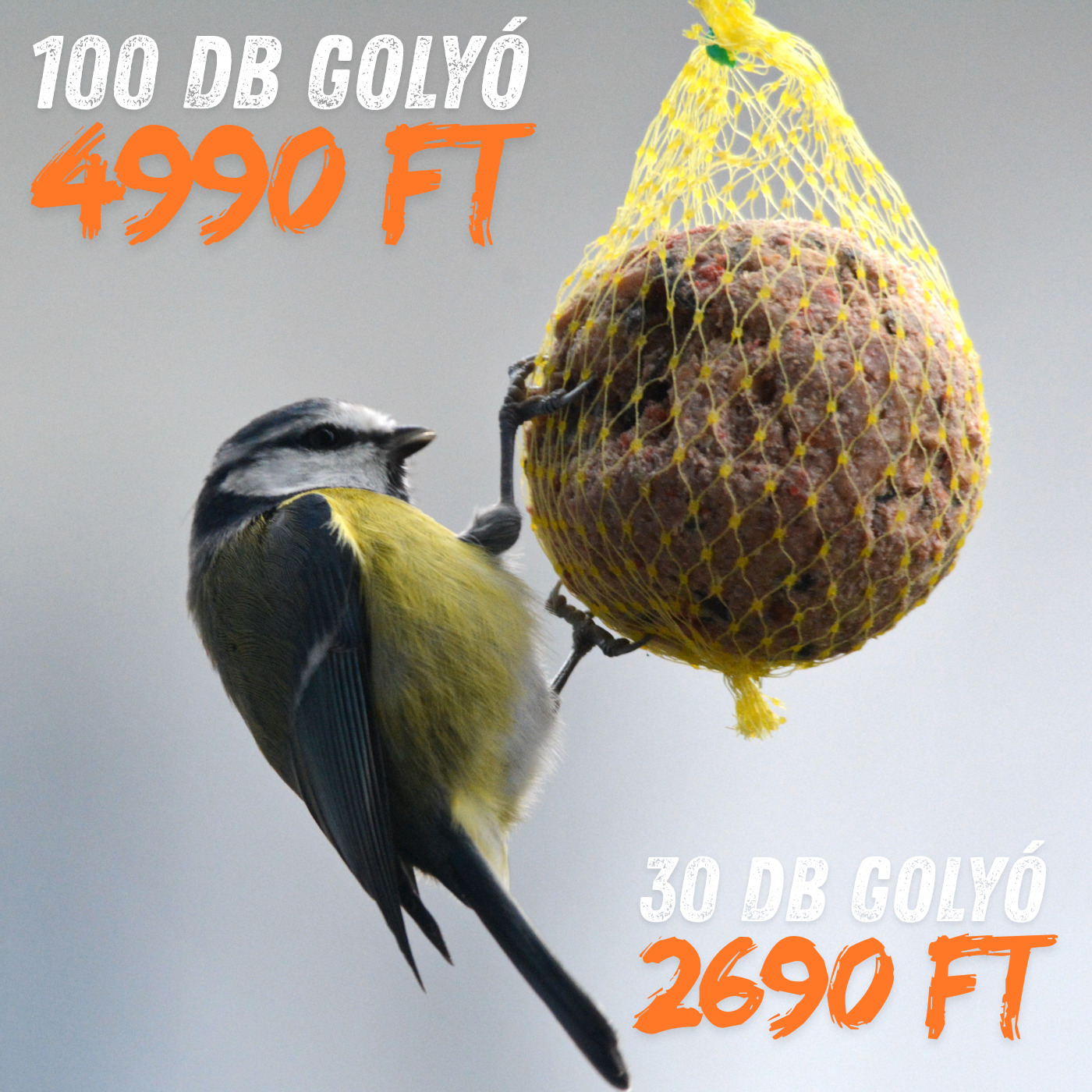 Cinkegolyó ajánlat