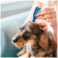 Beaphar No Stress / Calming Spot On kutyáknak #4