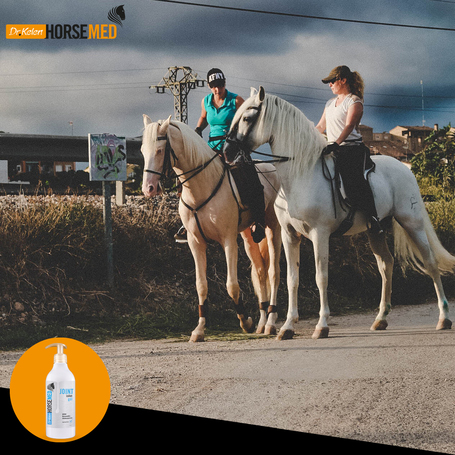 Horsemed ízületvédő gél lovaknak