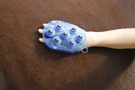 Kerbl mágneses masszázs vakaró lovaknak