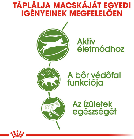 Royal Canin Outdoor - Szabadba gyakran kijáró, aktív felnőtt macska száraz táp