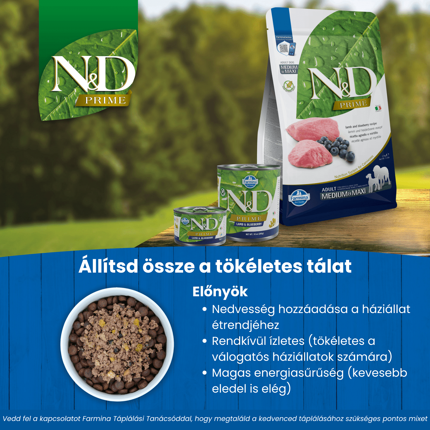 N&D Dog Prime Adult Mini Lamb & Blueberry | Bárányhúsos és vörösáfonyás száraztáp kistestű kutyáknak