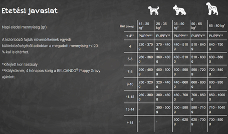 Belcando Junior Lamb & Rice | Bárányhúsos táp normál testméretű növendék kutyáknak