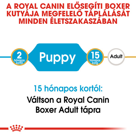 Royal Canin Boxer Junior - Boxer kölyök kutya száraz táp