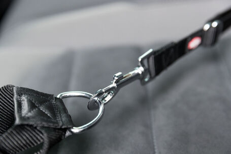 Trixie Friends on Tour autós biztonsági öv és póráz